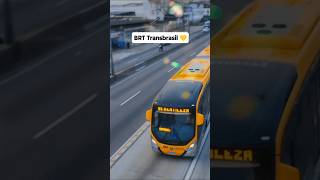 BRT Transbrasil 💛 brt bus avenidabrasil busrapidtransit onibusbr [upl. by Vyse]