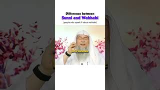 Difference between sunni and Wahhabi  people who talk ill about wahhabism Explained by Sheikh [upl. by Akoek373]