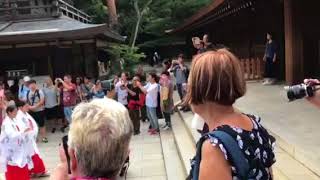 Shinto wedding procession in MeijiJingu shrine [upl. by Nna]