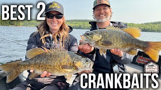 TOP 2 MUST HAVE Crankbaits for Smallmouth Bass [upl. by Nastassia]