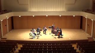 R Strauss Metamorphosen for string septet [upl. by Mendoza]