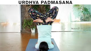 How to do Urdhva Padmasana  Upward Lotus Pose [upl. by Eizus]