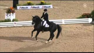 Totilas amp Edward Gal WEG Grand Prix Freestyle [upl. by Trela]