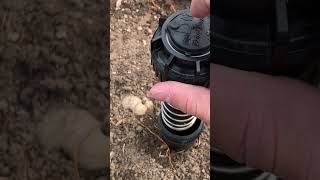 How to adjust a rainbird 5000 sprinkler head sprinkler sprinklers sprinklersystem rainbird [upl. by Yajeet]