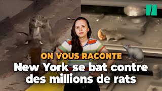 New York est en train de gagner sa guerre contre les rats en les gazant [upl. by Mutz]