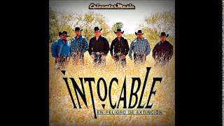 Grupo Intocable  El Perdedor EPICENTER BASS BOOST 2014 [upl. by Phillips]