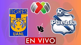 TIGRES VS PUEBLA EN VIVO  LIGA MX APERTURA 2024  JORNADA 11  DONDE VER EN VIVO [upl. by Ellehcal959]