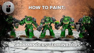 Contrast How to Paint New Salamanders Terminators [upl. by Airdnna649]