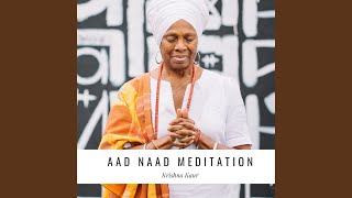 Aad Naad Meditation 11 Minutes [upl. by Anigar]