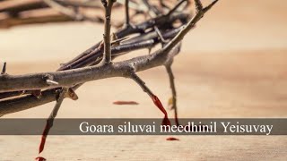 Goara siluvai meedhinil Yeisuvay  TPM Tamil Song 457  Cover [upl. by Budwig]