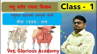 Veterinary Anatomy  पशु शरीर रचना विज्ञान By  Dr Ramesh sir [upl. by Nivle432]