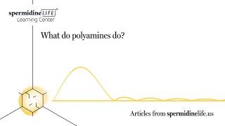 What Do Polyamines Do  Effects of Polyamines [upl. by Yeliab]