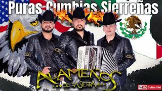 Los Alameños De La Sierra MEGA MIX Lo Más Chingon  Cumbias y Huapangos Para Bailar [upl. by Winnie249]