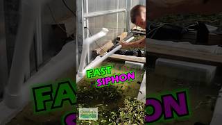 How To FAST SIPHON [upl. by Wilona778]