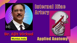 Internal Iliac Artery Applied Anatomy [upl. by Oicafinob]