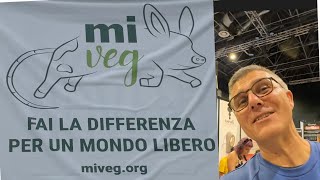 MIVEG Esperienza milanese [upl. by Gnouhc]