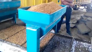 paddy transplanter seeder automatic [upl. by Llemor]