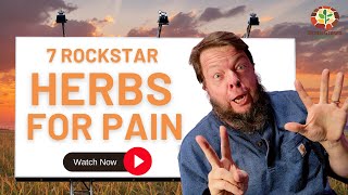 Top 7 Herbs Clinical Naturopath and Herbalist Uses For Pain [upl. by Hercules]