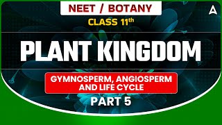 𝐏𝐋𝐀𝐍𝐓 𝐊𝐈𝐍𝐆𝐃𝐎𝐌 𝐂𝐋𝐀𝐒𝐒 𝟏𝟏  BOTANY GYMNOSPERM ANGIOSPERM AND LIFE CYCLE  NEET SANJEEVANI BATCH [upl. by Seagrave]