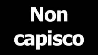 Italian phrase for I do not understand is Non capisco [upl. by Katharine521]