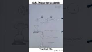 MSc Botany Practical File 1st sem  Biodiversity of Algae and Fungi  HPU botanynotes [upl. by Namus242]