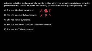 Barr bodies explained [upl. by Vicky662]