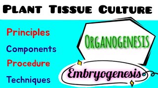 Plant Tissue Culture  Principle components  techniques  Embryogenesis  Organogenesis [upl. by Auqinet]