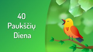 40 paukščių diena 🎵🦉 [upl. by Blondy]