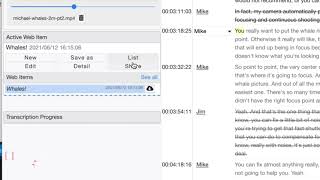 Transcriptive Rough Cutter 30  Premiere Panel and Web App differences [upl. by Coleen]