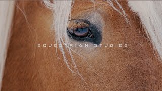 RMC Equestrian Studies Visit [upl. by Cutty]