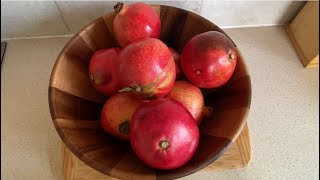 How to make a homemade pomegranate wine  my own way [upl. by Africah617]