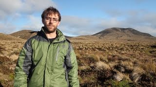 Winter in the Subantarctic Antipodes Island terrestrial ecology [upl. by Agon172]