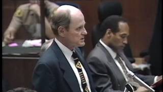 OJ Simpson Trial  September 11th 1995  Part 3 [upl. by Ssalguod]