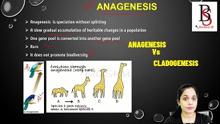 What is Anagenesis amp Cladogenesis [upl. by Nareik]