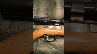 Glenfield Marlin Model 75 carbine 22LR [upl. by Bruyn578]