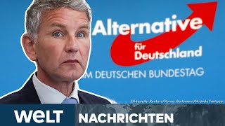 BJÖRN HÖCKE Kontroverser AfDPolitiker wegen NaziParole zu Geldstrafe verurteilt  WELT STREAM [upl. by Adolphus14]