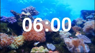 6 Minute Timer Relaxing Music Lofi Fish Background [upl. by Blaze]