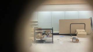 What Remains At The Empty Rite Aid [upl. by Leland]