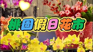 桃園假日花市、免費賞花景點，來個浪漫一日遊吧桃園景點賞花虎頭山 [upl. by Yeaton]