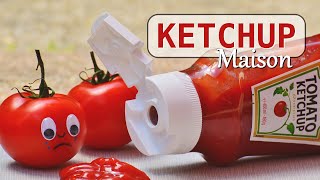 Ketchup maison rapide et facile [upl. by Kaya]