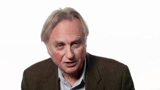 Richard Dawkins The Importance of Doing Useless Things  Big Think [upl. by Lebasi274]