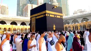 Al haram live 🔴 now  8 May 2024  Makkah Live Today Now 🕋  Umrah HD [upl. by Atteirneh864]