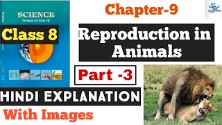 Class 8th NCERT Science  Ch9 Reproduction in Animals  Hindi Explanation Part3 [upl. by Nnodnarb994]