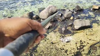 IKAN BAYEMAN HASIL MANCING SUPIR ARAB [upl. by Naitsihc]