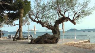 Puerto Pollensa Video 5Calm Day Mallorca Spain [upl. by Gagne]