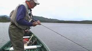 Joe Humphreys Nymphing Techniques  How To Nymph Fly Fish [upl. by Ynaffyt]