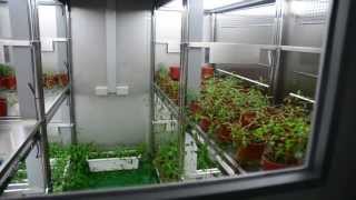 Taiwan HiPoint SINICA Institute growth chamber [upl. by Hanser]