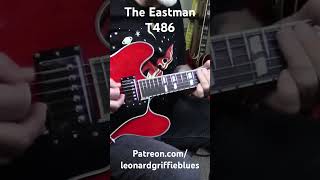 Playing the Eastman T486 electricguitar guitarsolo [upl. by Enylecoj772]