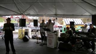 Polish Polka on Constitution Day in Parma Ohio [upl. by Anim]