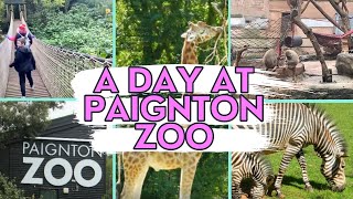 A DAY AT PAIGNTON ZOO DEVON ENGLAND DAYS OUT UK [upl. by Brandie]